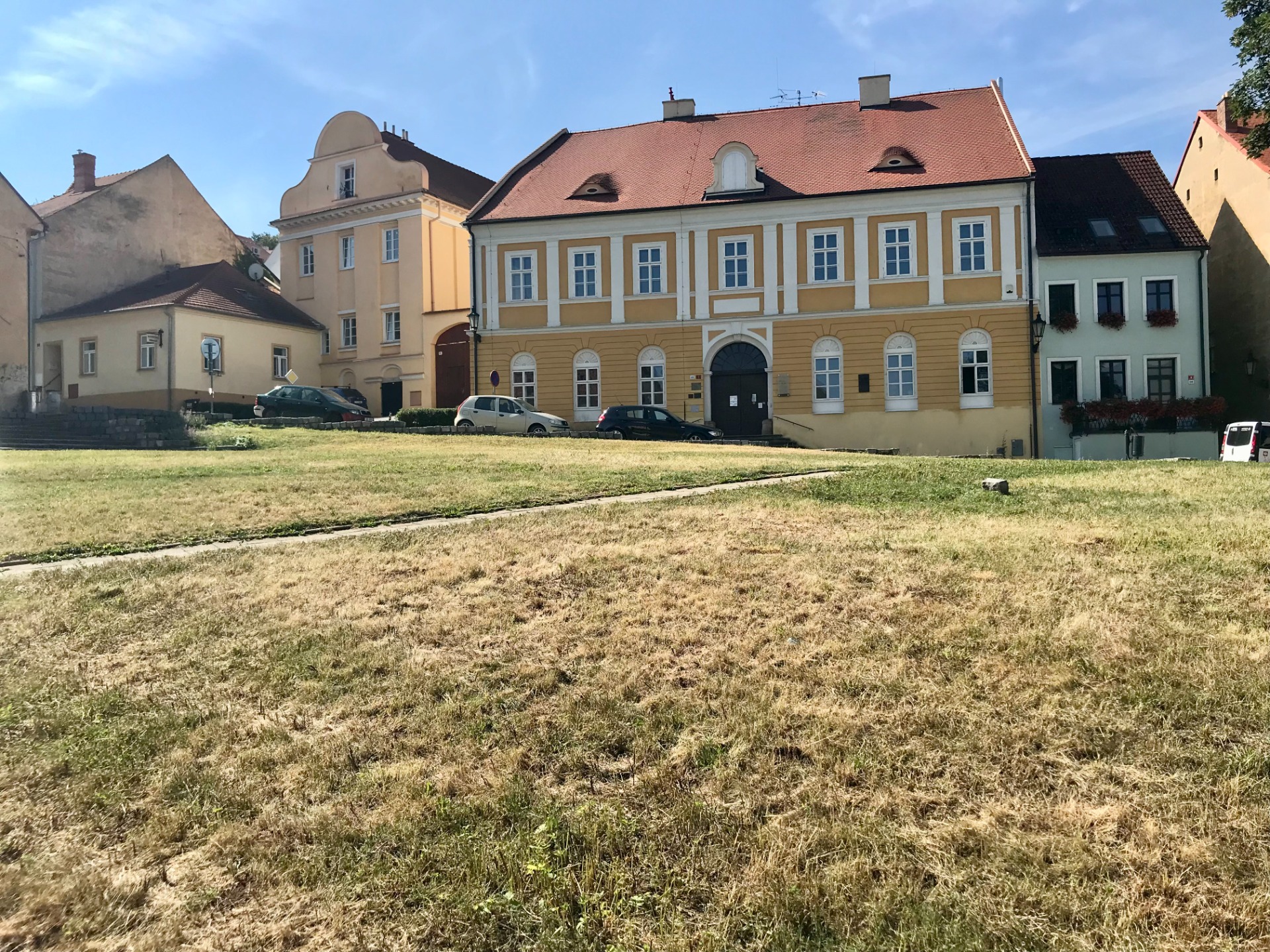 Trávník U Koupadel po městské seči. Foto: Tomáš Trumpeš