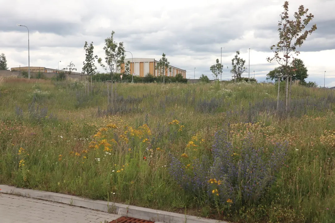 foto: archiv autorky